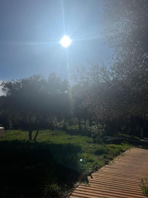 Au Coeur De La Provence